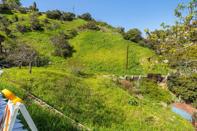 754 Pheasant Drive, Los Angeles, California 90065, ,Land,For Sale,754 Pheasant Drive,CRP1-16793