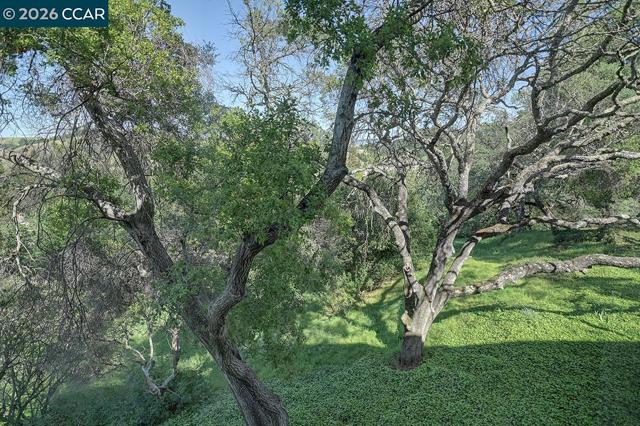 Image 23 of 60 For 3711 Terra Granada Dr  3b