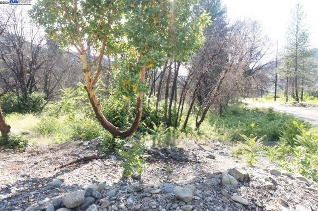 101 River Acres, Junction City CA: https://media.crmls.org/mediaz/fa06fa2b-ca4d-4548-aa1e-3642f6d97752.jpg