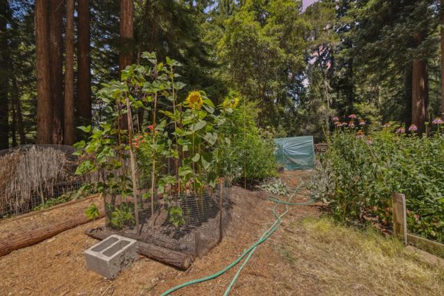 12256 La Lena Street, Felton CA: https://media.crmls.org/mediaz/fa094c78-bfd2-4f1c-90c9-a23f8f7ecfac.jpg