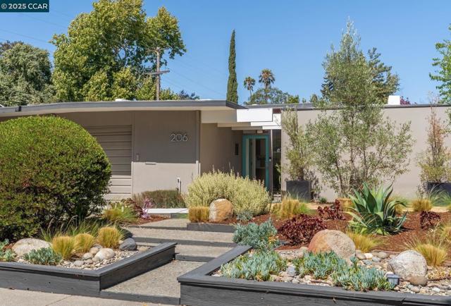 206 Santa Fe Dr, Walnut Creek CA: https://media.crmls.org/mediaz/fa13773c-6c0f-4034-9d6a-1c914dc85cea.jpg