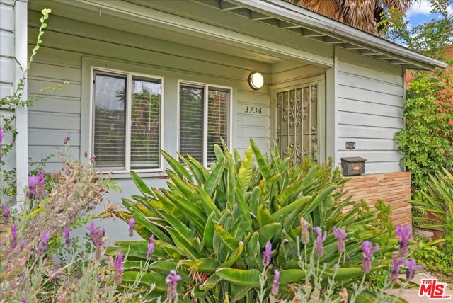 3734 Sawtelle Boulevard, Los Angeles CA: https://media.crmls.org/mediaz/fa1a83e1-16f3-46bf-b2b5-6997d05db3eb.jpg