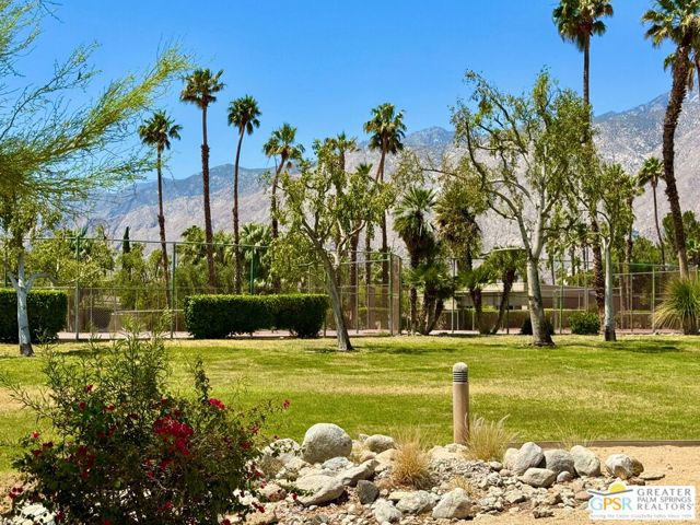 1533 N Sunflower Court, Palm Springs CA: https://media.crmls.org/mediaz/fa222563-2524-4d83-970a-2f6a570b6efc.jpg