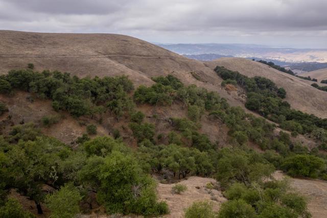 367 San Benancio, Salinas CA: https://media.crmls.org/mediaz/fa2241dc-4438-44e4-8732-c0356afcf32e.jpg