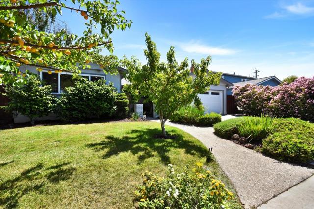 448 Kings Court, Campbell CA: https://media.crmls.org/mediaz/fa289f46-8ce1-4ef6-b8c5-eb11f4711970.jpg