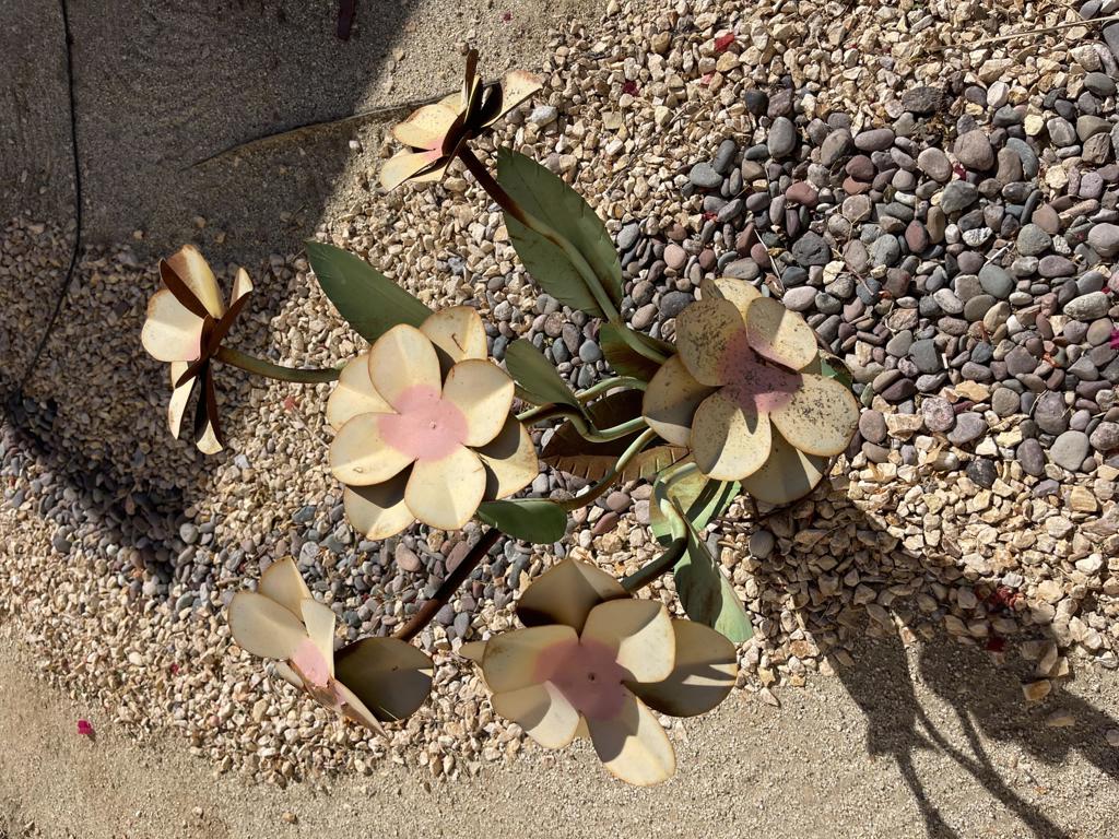 MLS #219132776DA image #13