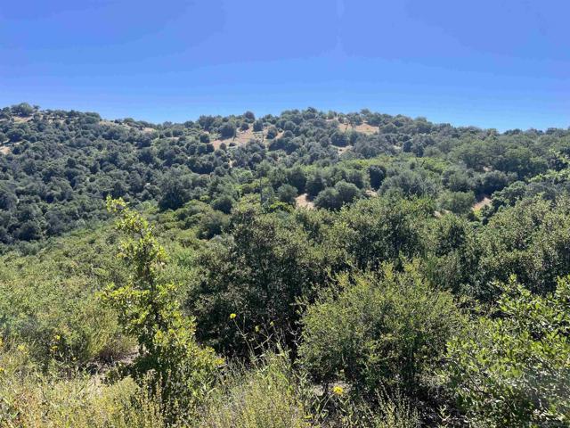 3890 Eagle Ridge, Julian CA: https://media.crmls.org/mediaz/fa3f8002-e42d-4a76-9c61-122fc3d6f288.jpg