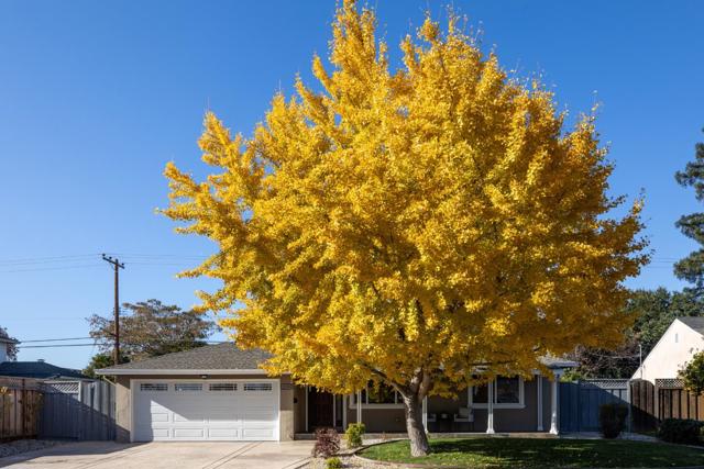 2381 Rosita Avenue, Santa Clara CA: https://media.crmls.org/mediaz/fa3faf07-6dea-4490-803a-a24be5e69d6d.jpg