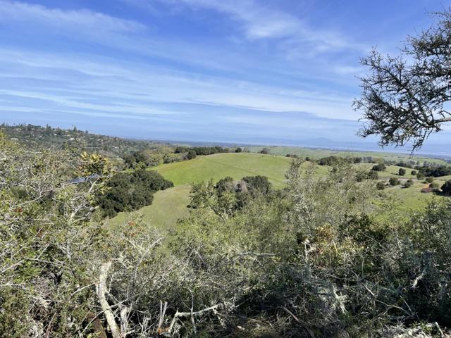 640 Los Trancos Road,  CA: https://media.crmls.org/mediaz/fa4b701a-92e2-451b-911f-d7da0690a6a5.jpg