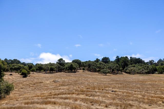 MLS #ML82017974 image #8