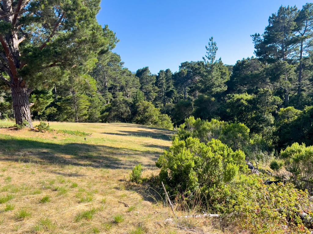 MLS #ML81971263 image #8