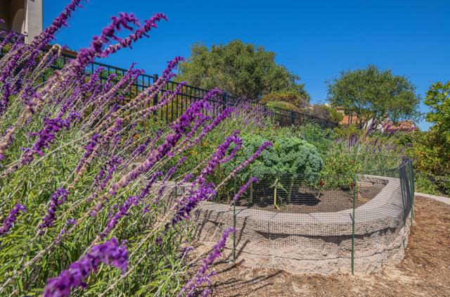 407 Mirador Court, Monterey CA: https://media.crmls.org/mediaz/fa589a33-e199-49ca-9dcf-834abebe8212.jpg