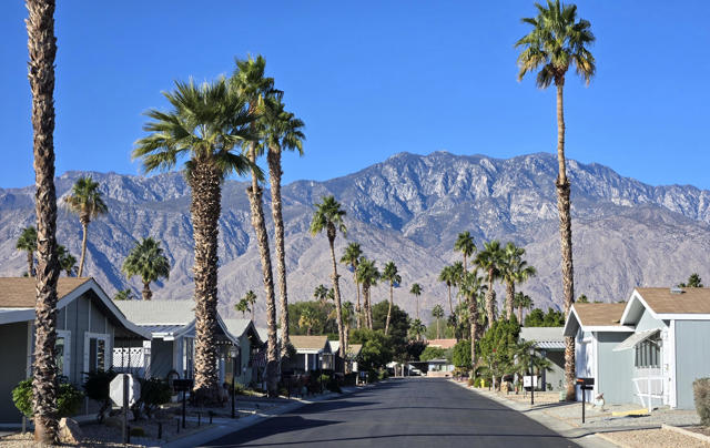 234 Settles Drive, Cathedral City CA: https://media.crmls.org/mediaz/fa5c5950-e694-4d29-965a-4e0f5a2e013c.jpg