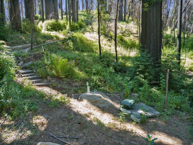 685 Robles Drive, Santa Cruz CA: https://media.crmls.org/mediaz/fa6240f3-a389-48e9-ba48-c27cdcb9095c.jpg