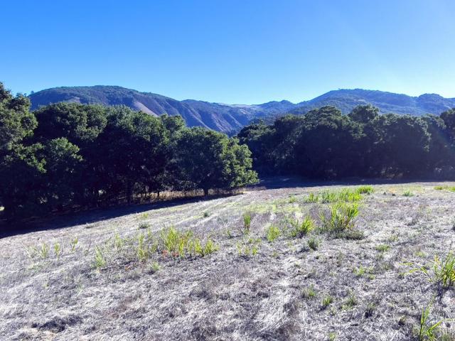 7 Holding Field Run, Carmel Valley CA: https://media.crmls.org/mediaz/fa65d002-85d0-45c2-a91e-a55b316eb523.jpg