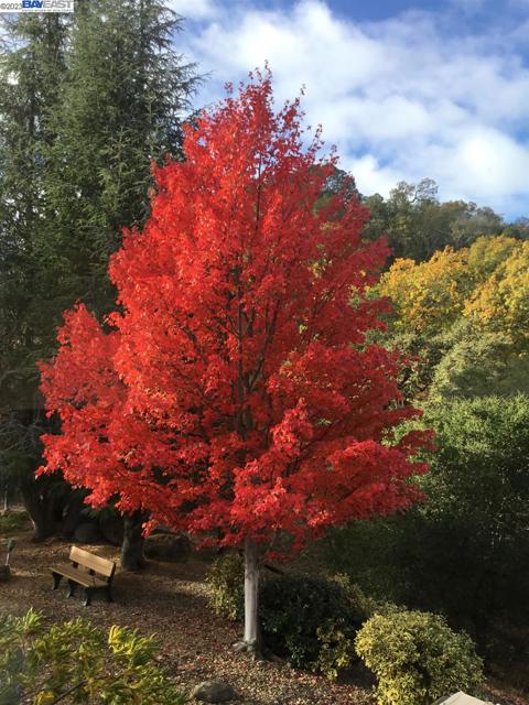 Beautiful Fall photo and canyon views