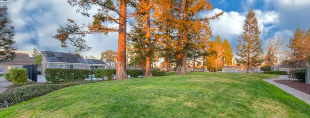 243 Northwood Commons, Livermore CA: https://media.crmls.org/mediaz/fa6b13fa-f586-4cbb-a67c-d11ea2f8127a.jpg