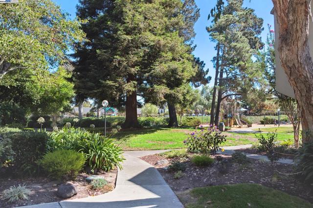 3032 CERRO VISTA, Alameda CA: https://media.crmls.org/mediaz/fa839458-a970-4854-add4-df4369c4bd92.jpg