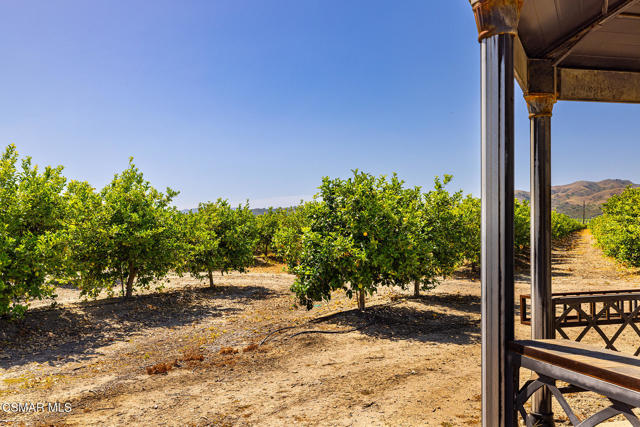 13721 Telegraph Road, Santa Paula CA: https://media.crmls.org/mediaz/fa842e32-efca-4d56-9b81-60981aca9835.jpg