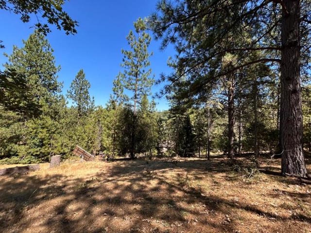 1720 Jacobs Way, Placerville CA: https://media.crmls.org/mediaz/fa8ba0c5-cd79-4b64-8aa3-703a196f8f7f.jpg