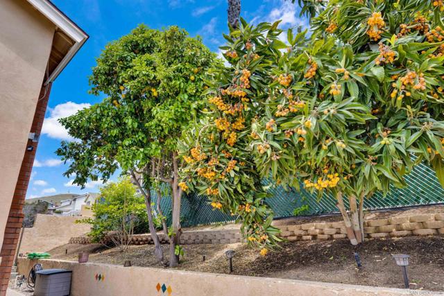 9959 Riverhead Dr, San Diego CA: https://media.crmls.org/mediaz/fa9b5385-5a90-47f2-9b05-75c4e9203c2d.jpg