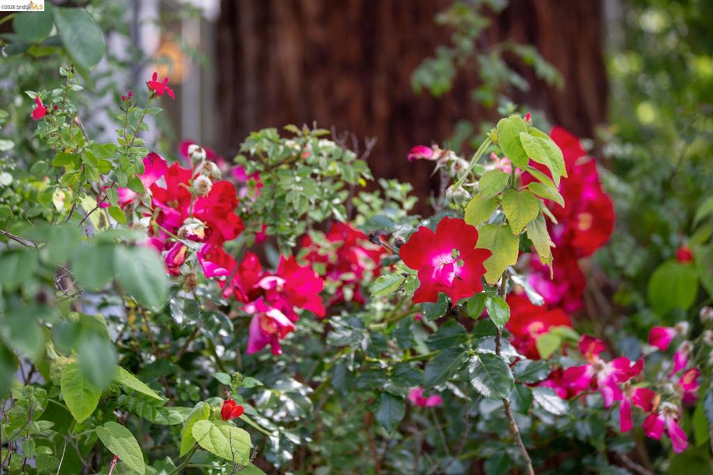 https://media.crmls.org/mediaz/faa48fa6-effc-4287-a4ad-ef06eebac21a.jpg?preset=X-Large