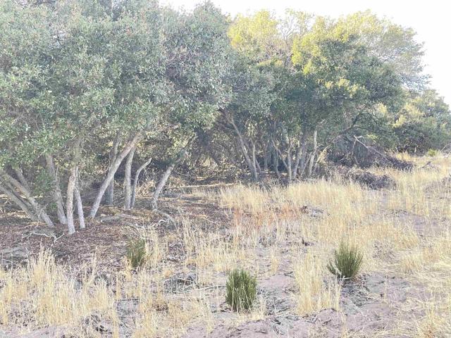 Detail Gallery Image 7 of 7 For 21 .68 Acres Tierra Del Sol Rd, Boulevard,  CA 91905 - – Beds | – Baths