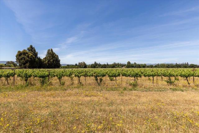 11370 Center Avenue, Gilroy CA: https://media.crmls.org/mediaz/fab3bf33-999f-490b-8fa8-ac5f12d5b0b6.jpg