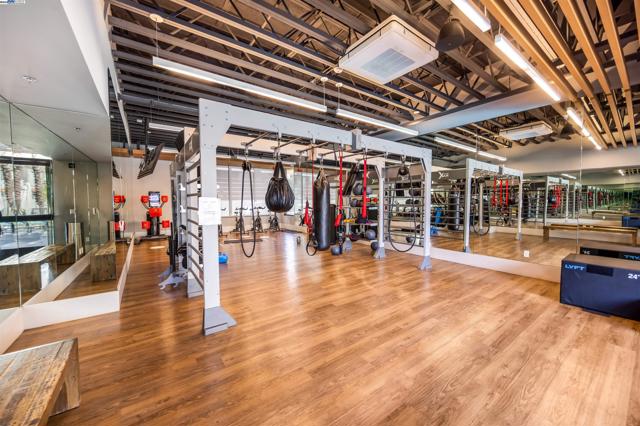 Lower Level Gym