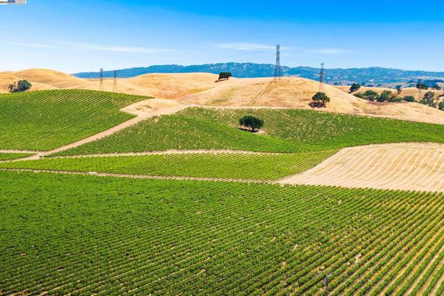 2135 Terra Bella Ct, Livermore CA: https://media.crmls.org/mediaz/faba9c8f-4215-430c-bcea-4126d28214d8.jpg