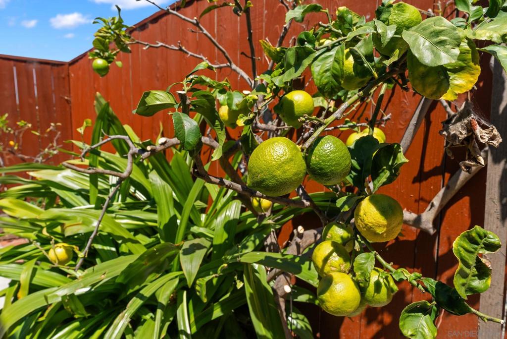 4540 Voltaire - photo 20