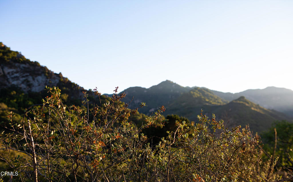https://media.crmls.org/mediaz/faca2672-dcb2-48d0-bb24-c655b4bf82b5.jpg?preset=X-Large