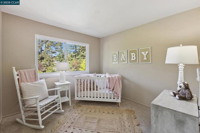 800 El Capitan Drive, Danville, California 94526, 4 Bedrooms Bedrooms, ,2 BathroomsBathrooms,Single Family Residence,For Sale,El Capitan Drive,41112507