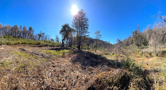 11035 Empire Grade, Santa Cruz CA: https://media.crmls.org/mediaz/fad61669-bf9a-4706-824d-4cc3ec3cc63b.jpg