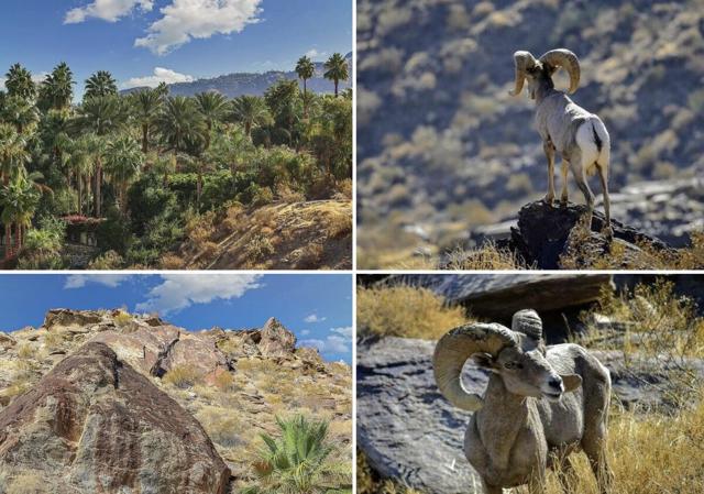 0 Ridge Road, Palm Springs CA: https://media.crmls.org/mediaz/fada9bac-e082-4b51-8369-de1203a02b9c.jpg