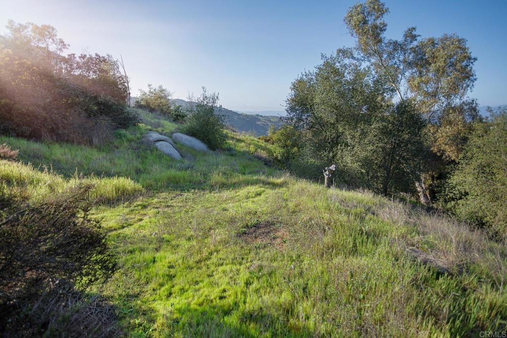 MLS #NDP2506437 image #5