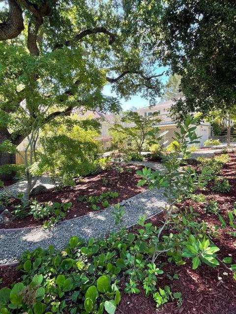 23951 Spalding Avenue, Los Altos CA: https://media.crmls.org/mediaz/fae58d2b-f7b8-47df-afa3-ec3fa9936921.jpg