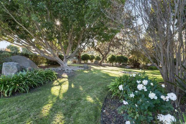 12916 Polvera Ave, San Diego CA: https://media.crmls.org/mediaz/faf042eb-617f-4e92-81aa-0c18e8e623da.jpg