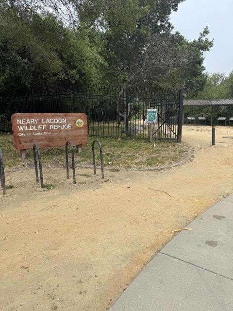 356 Everson Drive, Santa Cruz CA: https://media.crmls.org/mediaz/faffc692-c20b-41cc-8b21-8b0d52e616d8.jpg