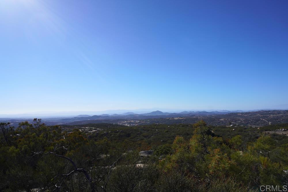 MLS #PTP2507282 image #6