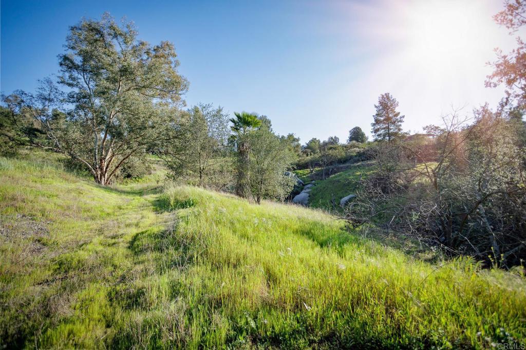 MLS #NDP2506437 image #10