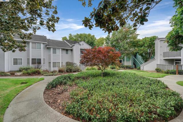 205 Dursey Dr, Pinole CA: https://media.crmls.org/mediaz/fb1795a7-1edd-491e-9db0-4ab93b8683b5.jpg