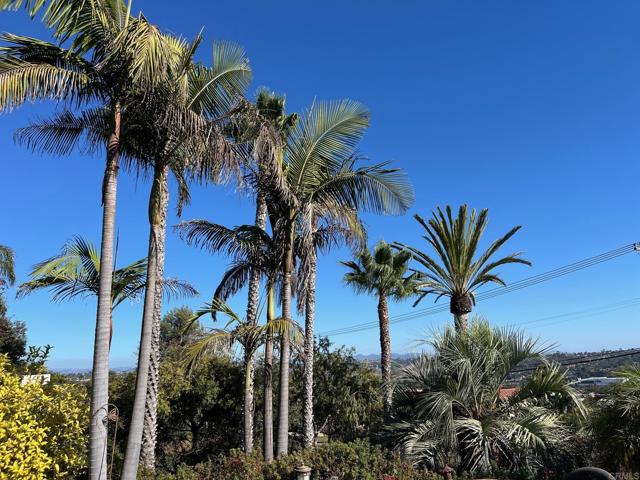 Detail Gallery Image 41 of 50 For 1840 Laurel Rd, Oceanside,  CA 92054 - 2 Beds | 1 Baths