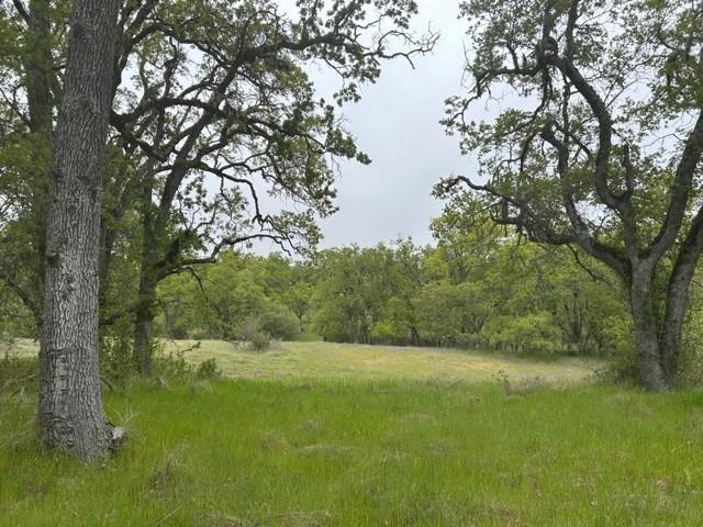 MLS #ML82017560 image #1