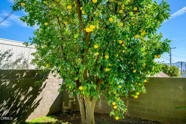 Detail Gallery Image 41 of 56 For 2444 N Parish Pl, Burbank,  CA 91504 - 3 Beds | 1 Baths