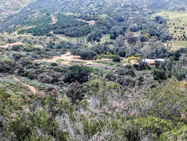 41822 De Luz, Fallbrook, California 92028, ,Residential Land,For Sale,De Luz,NDP2405719