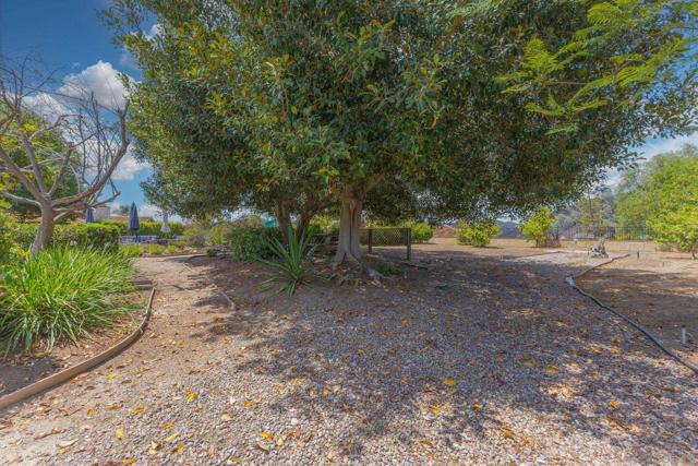 3445 Lomas Serenas Dr, Escondido CA: https://media.crmls.org/mediaz/fb29243c-7034-4999-9467-eccfef425473.jpg