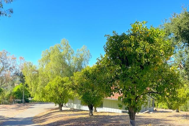 145 Yucca Road, Fallbrook CA: https://media.crmls.org/mediaz/fb2cc385-95fc-4aa6-acea-d7e99a8023a2.jpg