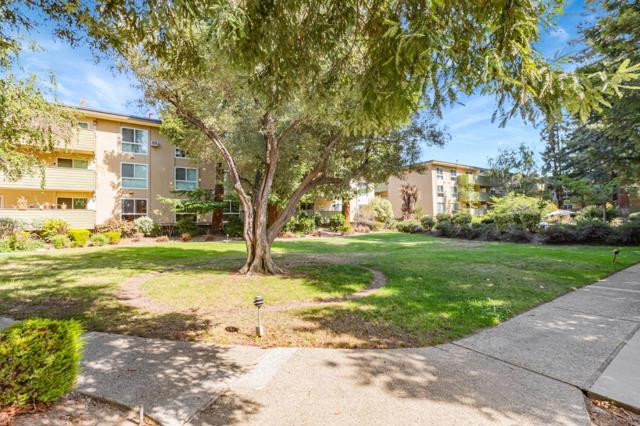 1031 Crestview Drive, Mountain View CA: https://media.crmls.org/mediaz/fb396b20-cac5-47a4-bc8d-a74dc4ae06ca.jpg