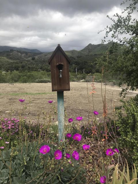 1480 Magnolia Drive, Santa Paula CA: https://media.crmls.org/mediaz/fb3d224c-4a59-48dc-9cdb-cf0ec4d8b185.jpg